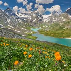 夏天能在阿尔泰山脉做什么？