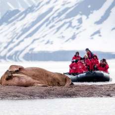 Как организовать путешествие в Арктику