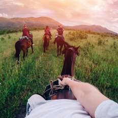 马背上的风光更好：如何计划骑马旅行