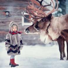 在莫斯科和莫斯科州的哪里可以玩鹿拉雪橇？